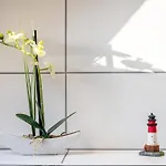 Apartament Haus Heidorn *