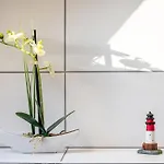 Haus Heidorn Appartamento